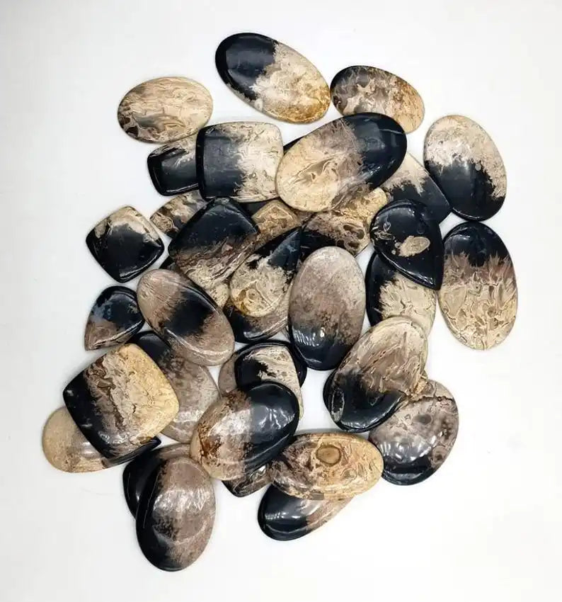 Oval cabochon gemstone assortment, glossy dark black and beige marbled teardrops