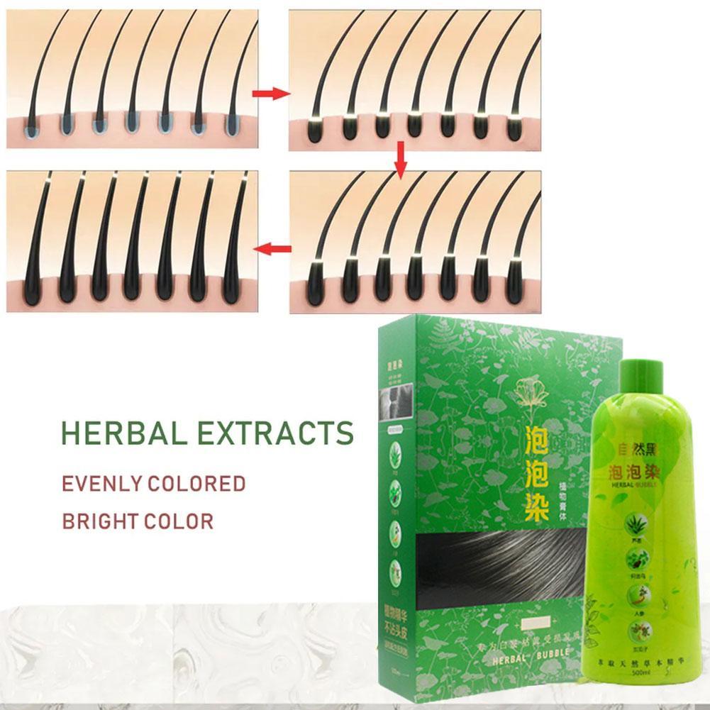Brimless Shampoo 3 In 1 Black Hair Dye Coloring Shampoo Nourishes Long Lasting For Men Women Bubble Gray Hair Dye Shampoo 500ml