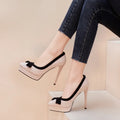 2026 Women's Pointed Toe Stiletto Heel Platform Velvet Upper Imitation Leather Lining Microfiber Midsole Rubber Outsole Pumps