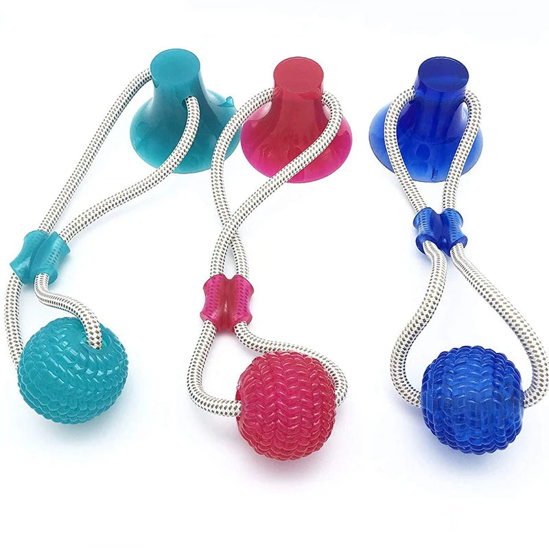Interactive suction cup dog toy with TPR ball and elastic rope for puppy molar chewing and teeth cleaning.