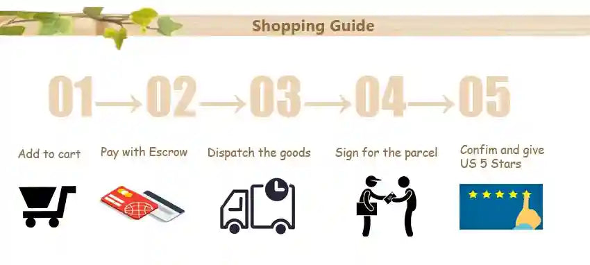 Shopping guide infographic for ionic detox foot spa machine, showing 5-step order process from cart to delivery.