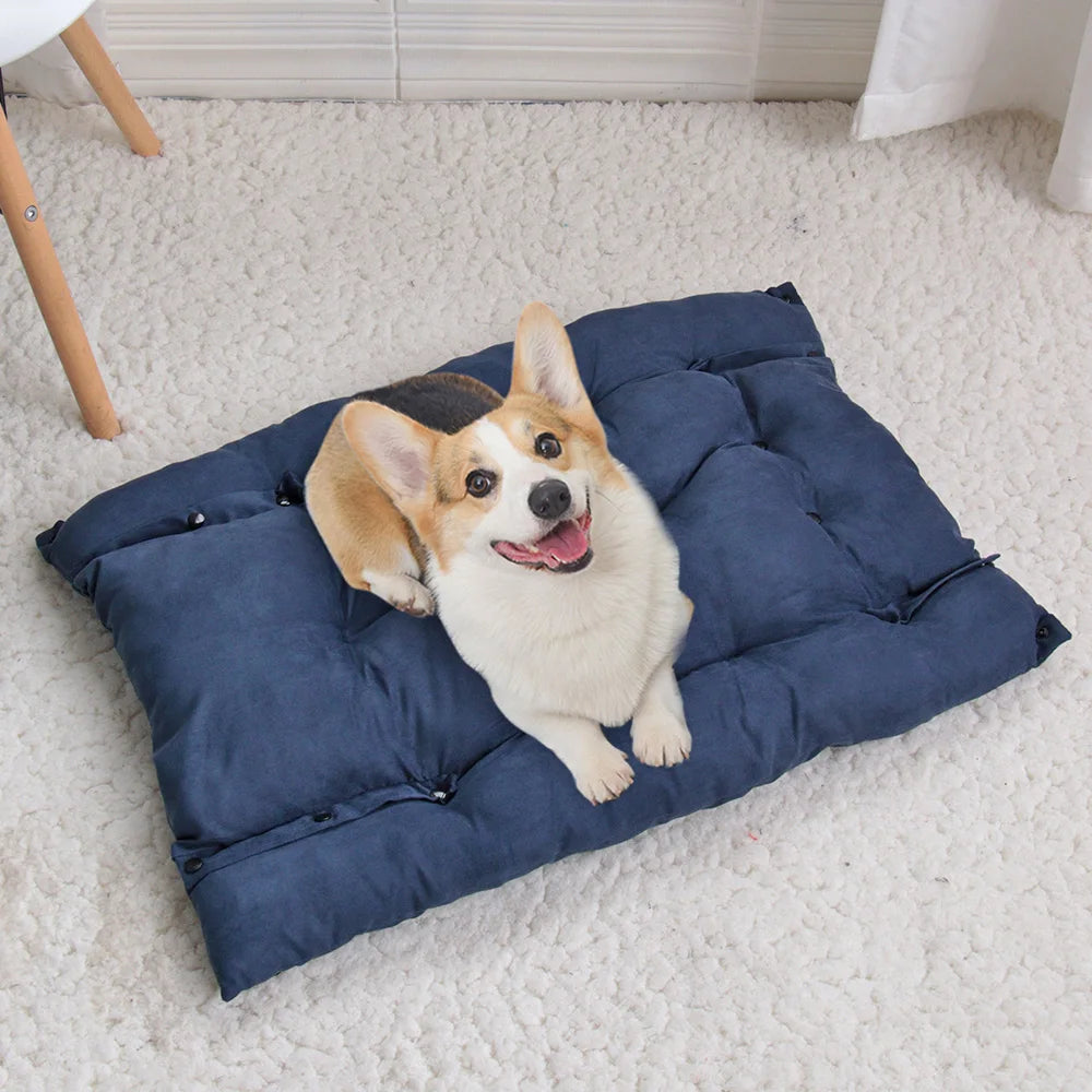 Corgi resting on a soft blue rectangular pet sofa bed, a cozy, cushioned mattress perfect for warm dog winter sleep.