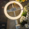 Professional LED Ring Light for Mobile Phone Beauty Selfie Video Recording for Live Broadcast TikTok-Mobile Phone Stand Lighting White | built-in battery rechargeable| R6 Extended Width: Diameter 1050*330-585mm Max Height:1116mm|R6 R6S Tidesmit