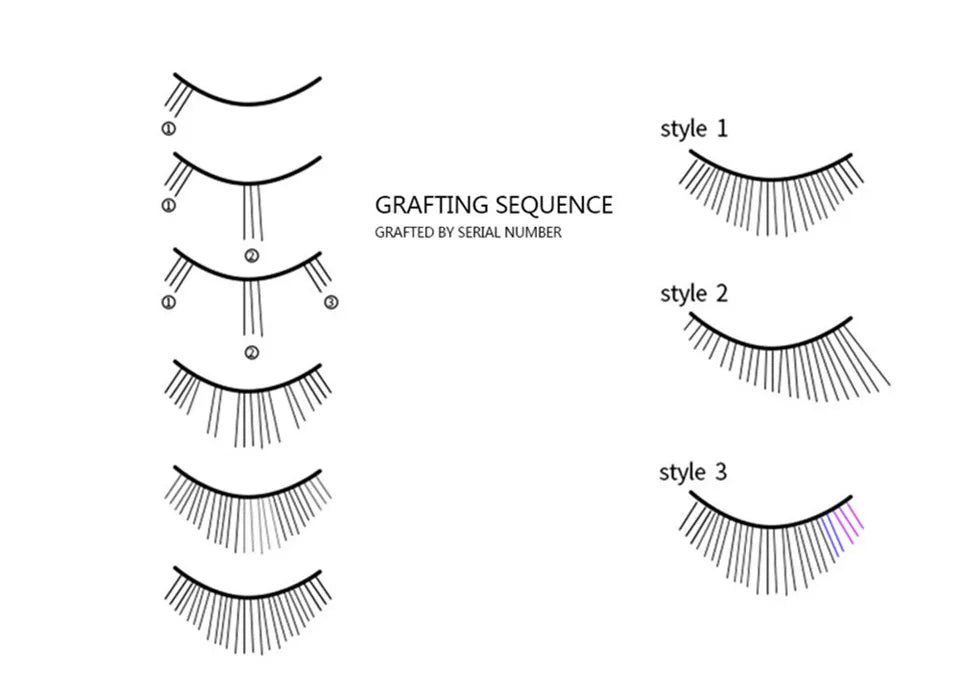 Diagram showing Russian volume eyelash grafting sequences and three different lash application styles.
