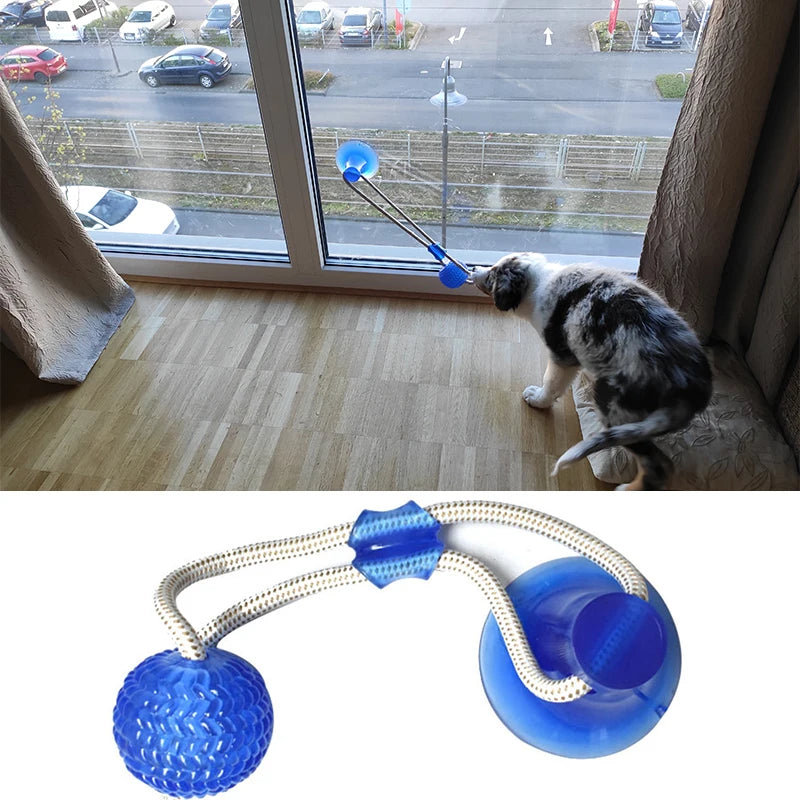 Blue suction cup dog toy with TPR ball and rope for interactive tug-of-war play, dental cleaning, and puppy chewing.