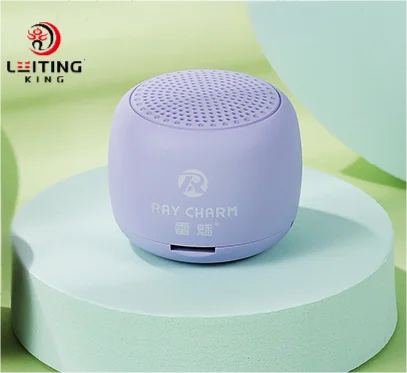 LEITING KING RC-102 Lilac 2*25w High Quality Audio Player Mini Wireless Speakers Bluetooth Portable Outdoor Speaker My Store