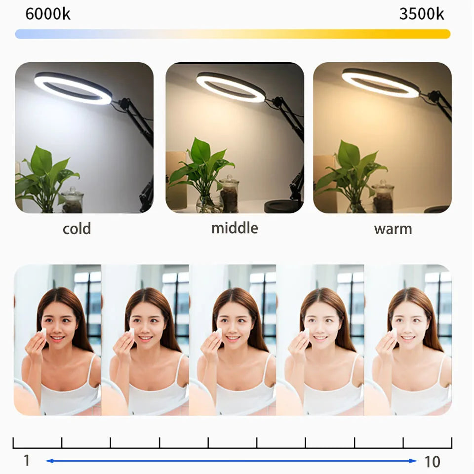 Adjustable black LED ring desk lamp with cold to warm light temperature and 10-level brightness settings for tasks.