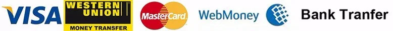 Accepted payment methods including Visa, Western Union, MasterCard, WebMoney, and bank transfer icons.