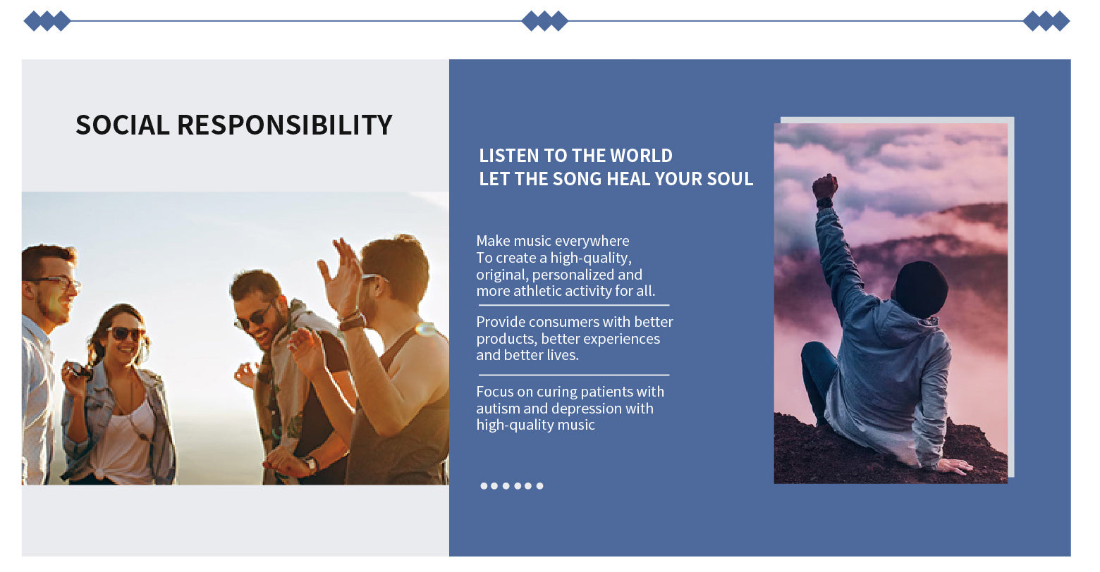 Solar Powered Portable Wireless Speaker with FM Radio Antenna Stereo Sound USB/TF/FM/BT/TWS/LED Flashlight for Outdoor My Store