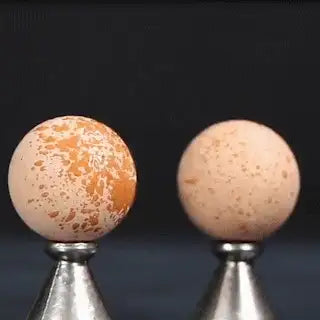 Two round volcanic stone rollers: one covered in orange oil, the other clean and light beige on silver stands.