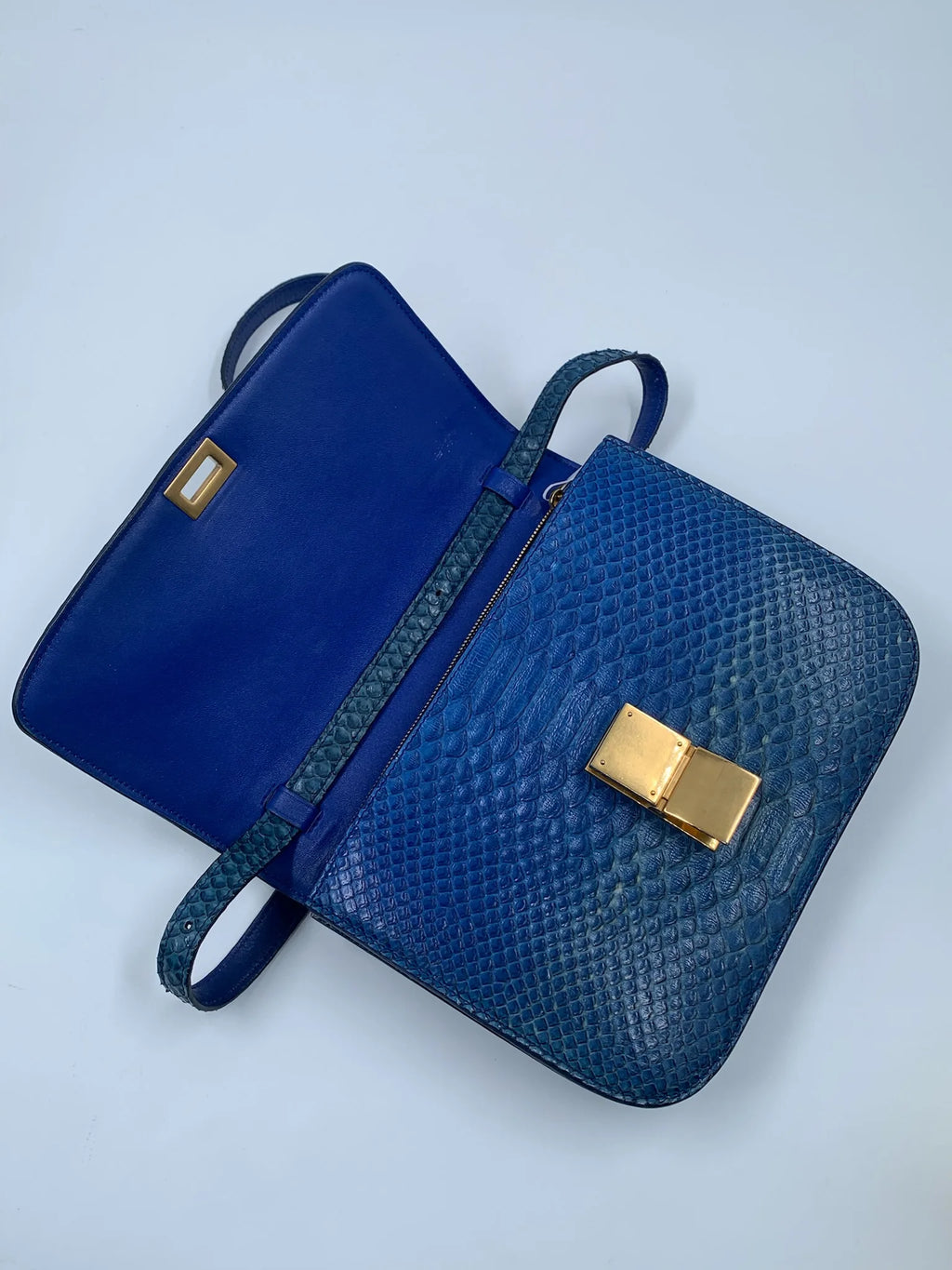 Luxury blue vintage-style designer crossbody bag in textured snakeskin leather with gold clasp hardware.
