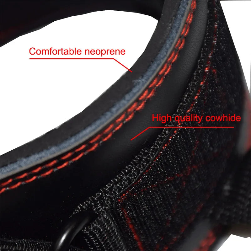 Hot Sell Gym High Quality Padded Ankle Straps Comprehensive Protection for Cable Machines HF-R-001 ROEGADYN 3-5days Opp Bag Tidesmit