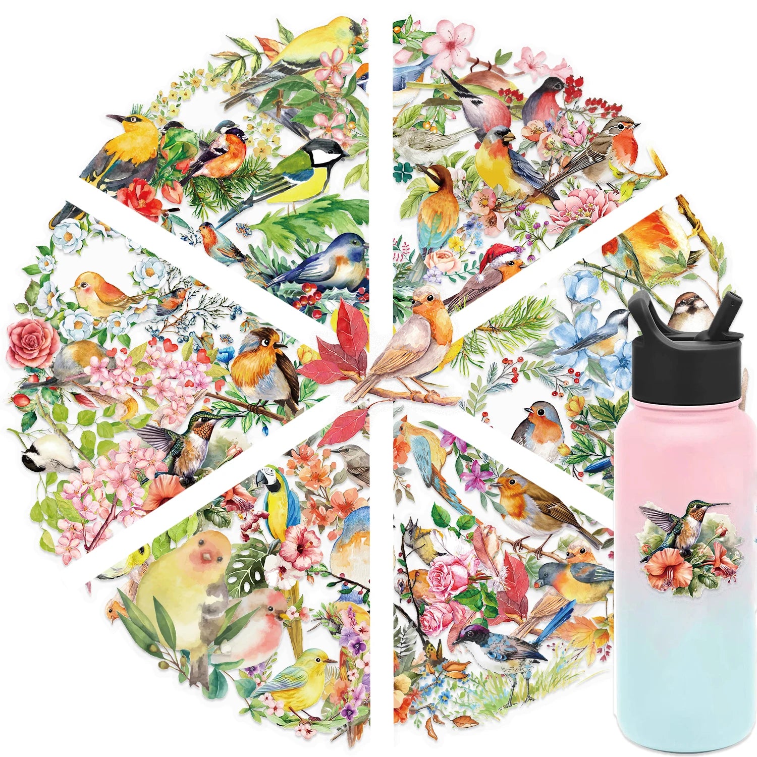 50 watercolor bird PET stickers for aesthetic DIY scrapbooking, journaling, and water bottle decoration.