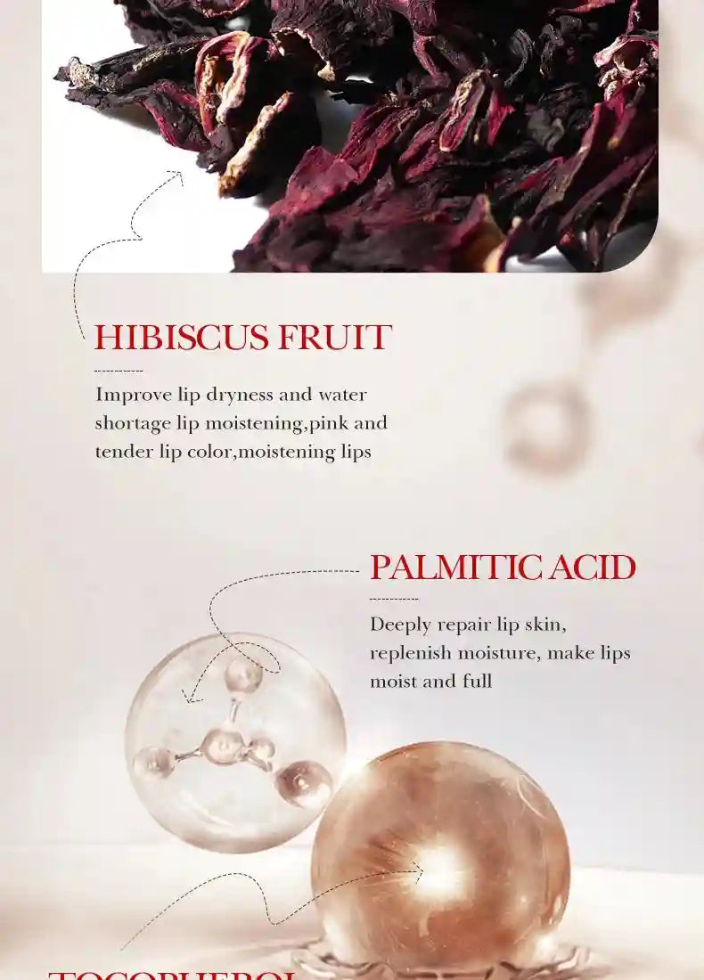 Coffee Lip Mask | Intensive Overnight Hydrating Lip Treatment Lip Care Tidesmit