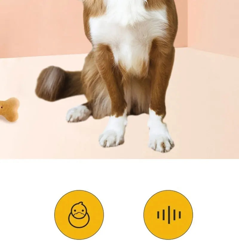 Cute dog playing with a durable, bite-resistant yellow plush duck toy to relieve boredom and improve dental health.