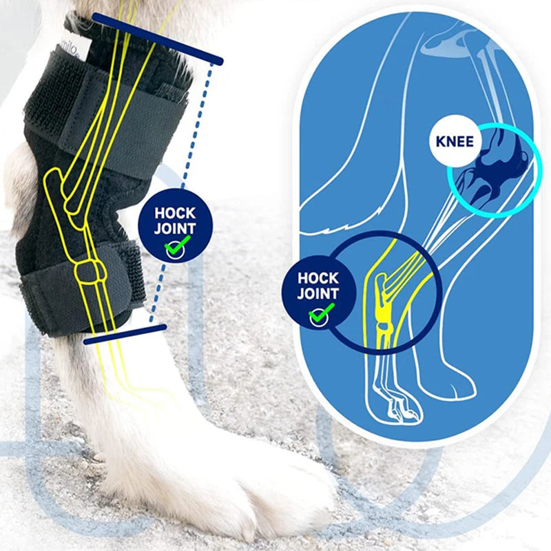 Black breathable dog hock joint wrap for injury recovery and knee support to help mobility and healing.