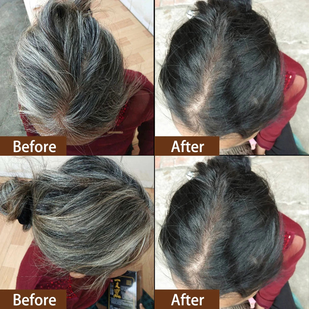 500ml 3 In 1 Hair Color Shampoo Black Hair Dye Covering White Hair Shampoo Black Plant Hair Dye Fast Hair Dye Cream Styling DIY