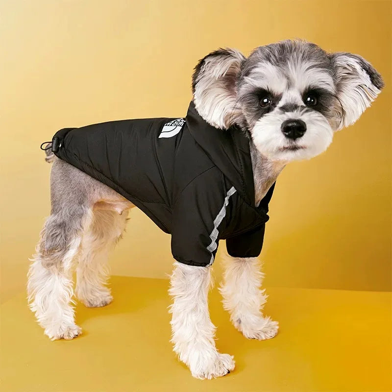 Small dog wearing a black waterproof winter dog jacket with reflective trim for warm, windproof protection in the snow.