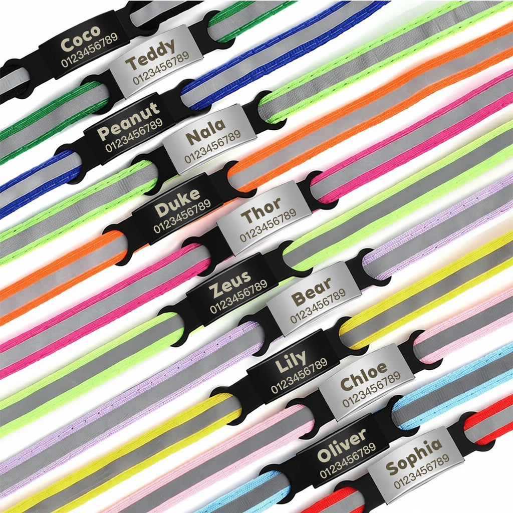 Personalized reflective cat and puppy collars with custom engraved ID nameplates for pet safety.