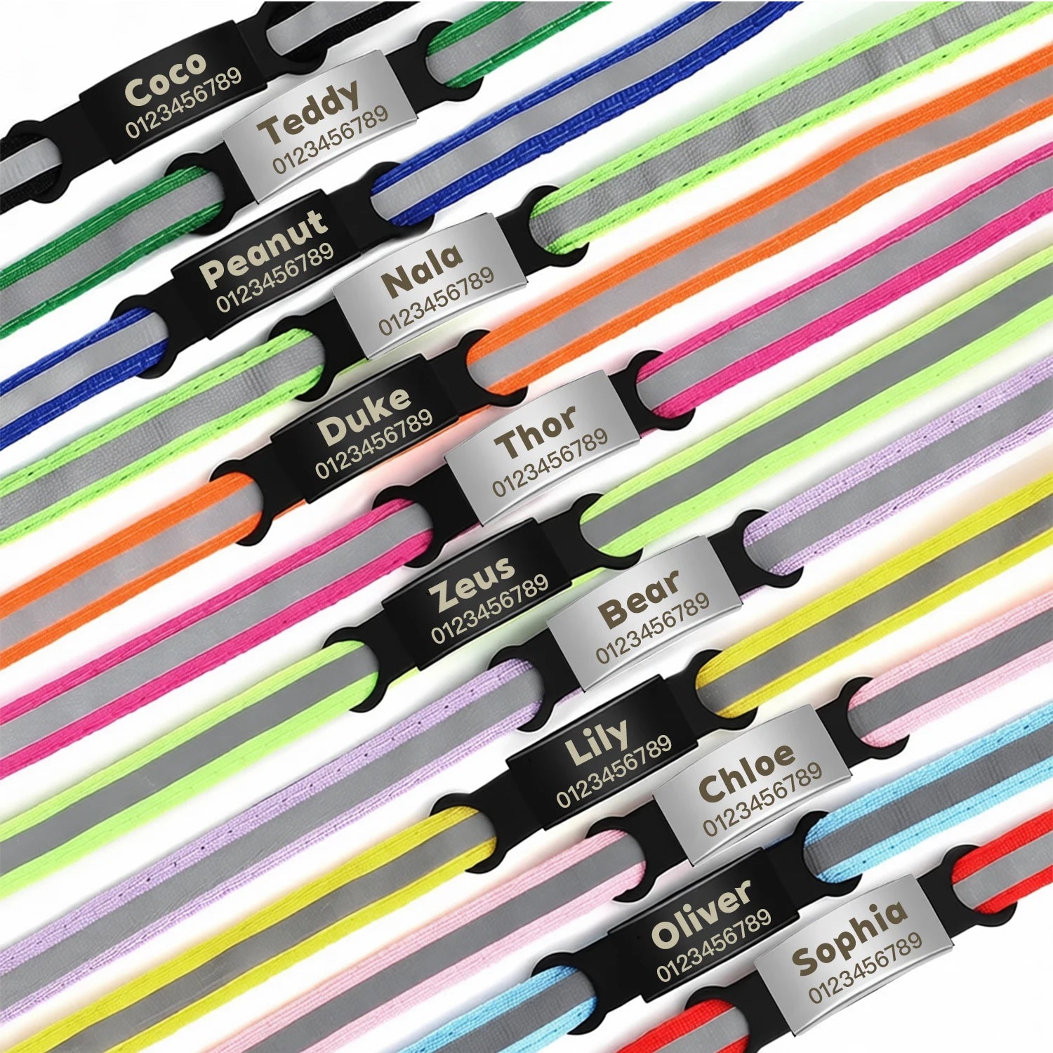Personalized reflective cat and puppy collars with custom engraved ID nameplates for pet safety.