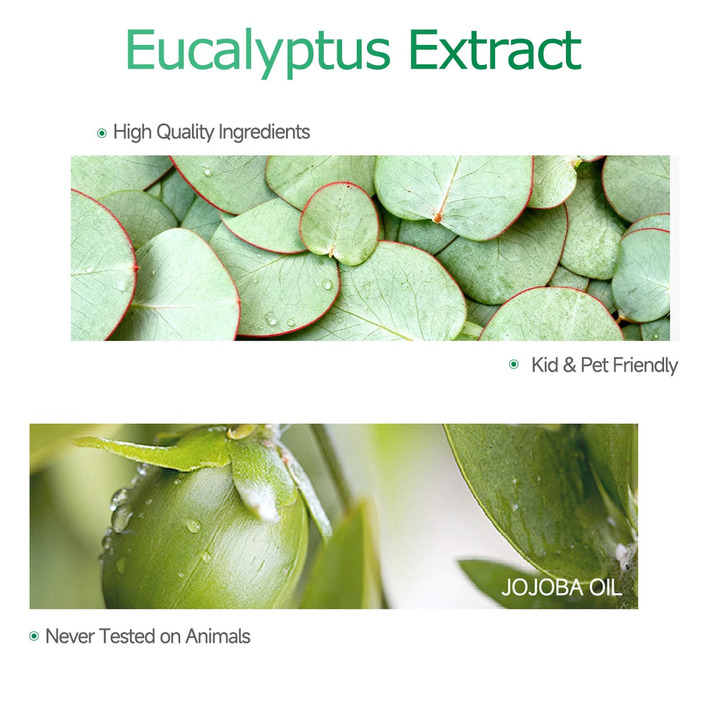 Eucalyptus essential oil, a botanical fragrance, nourishes hair and provides body massage care; suitable for all seasons.