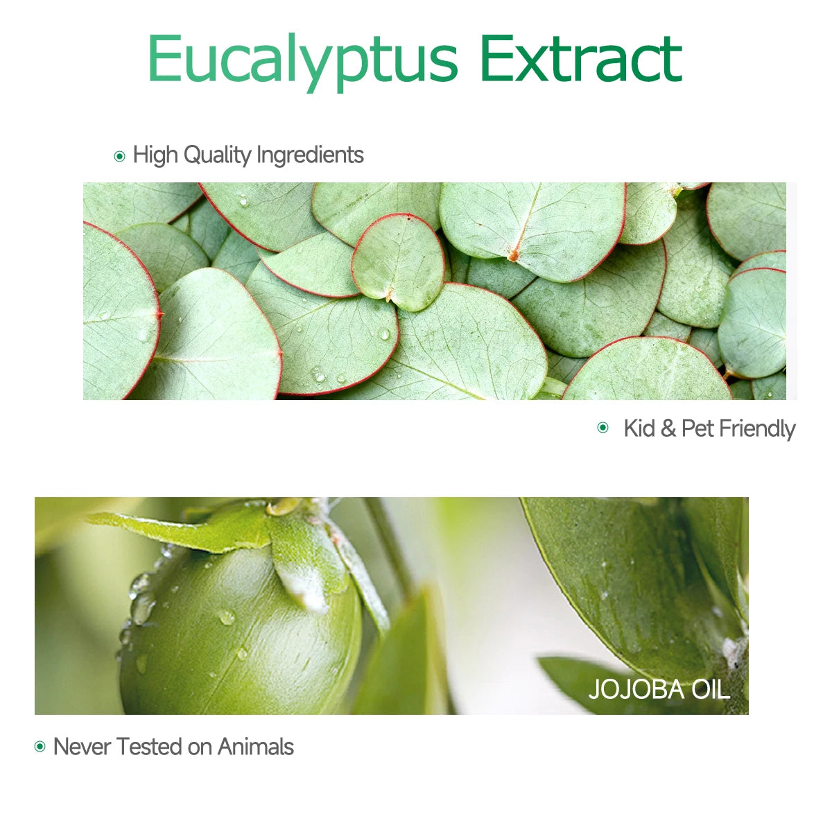 Eucalyptus essential oil, a botanical fragrance, nourishes hair and provides body massage care; suitable for all seasons.