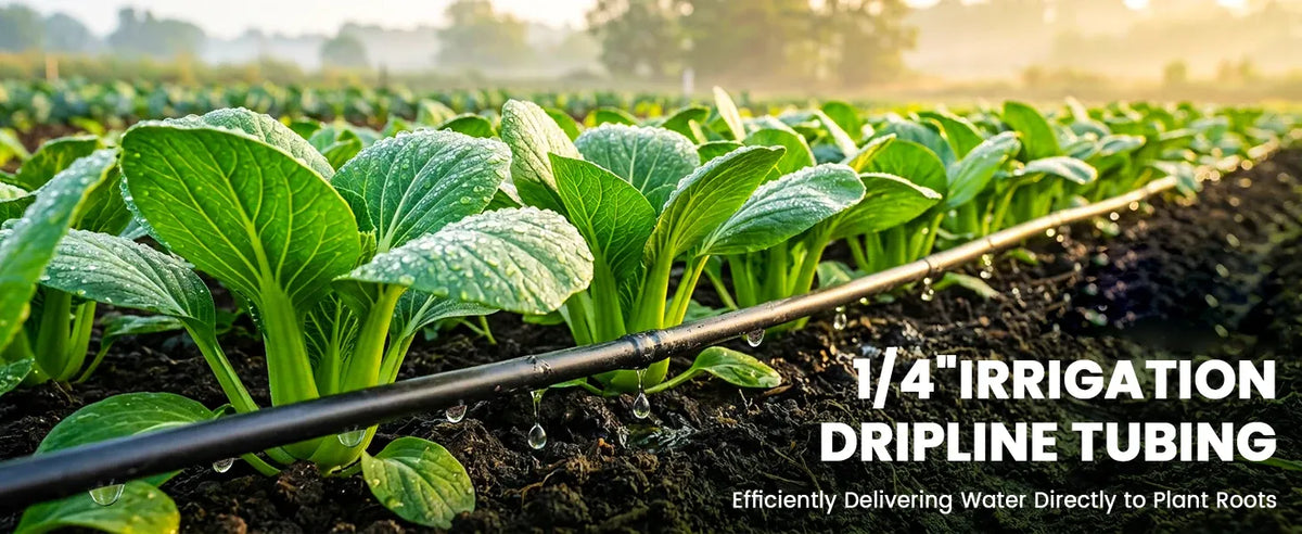 Black 1/4 in dripline tubing running through garden soil near leafy greens