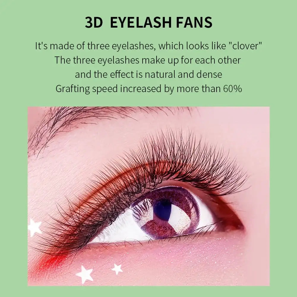 GLAMLASH L/LU/M W Shape Eyelash Extension 3D Premade Volume Fan Lashes W Style YY Lashes Faux Mink Volume Lashes Natural