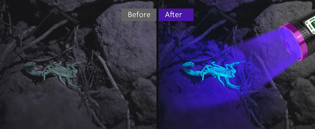120W rechargeable UV blacklight flashlight revealing a scorpion, ideal for pet urine detection and home pest control.