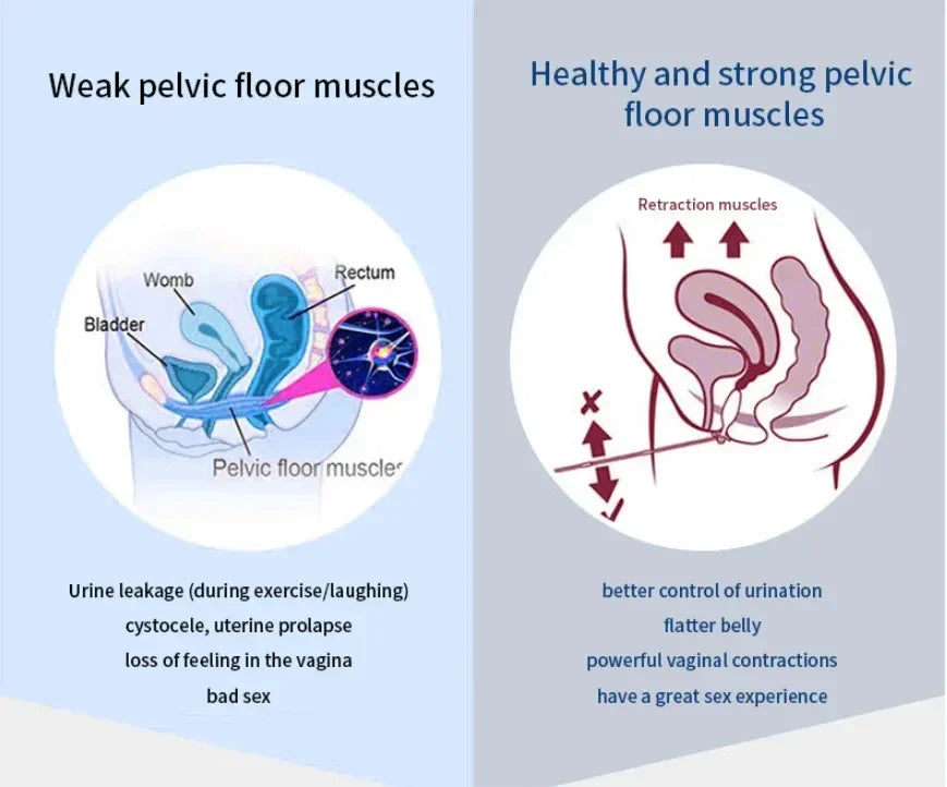 Pelvic Floor Muscle Stimulator Chair for Postpartum Muscle Repair Massage Chairs Tidesmit