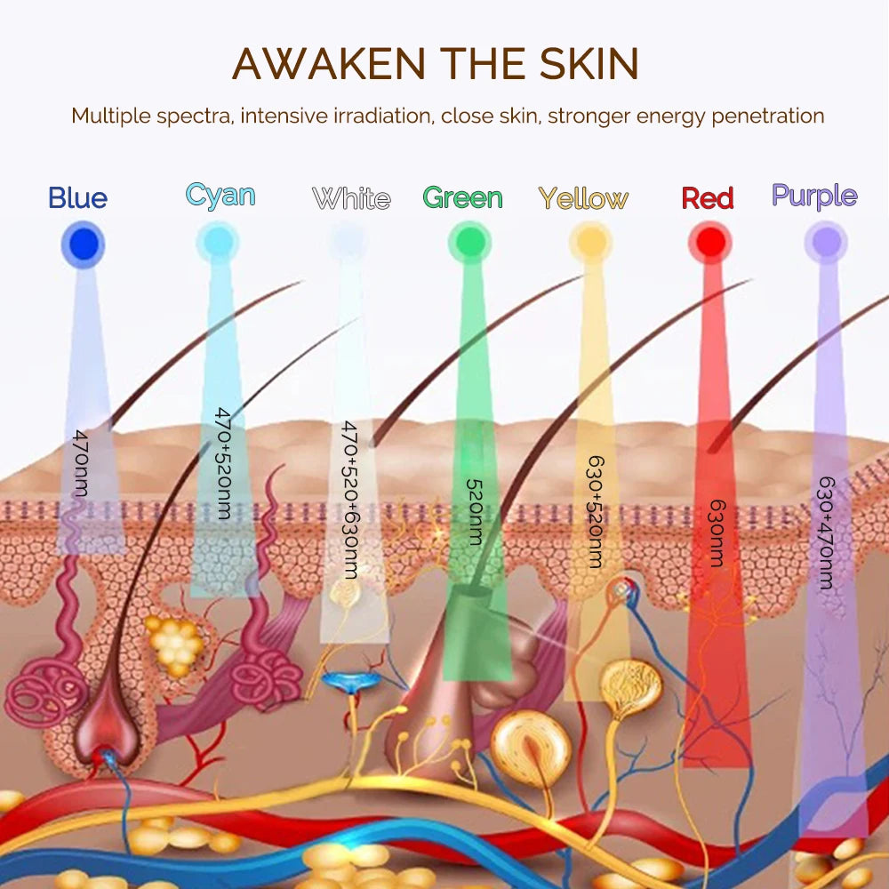 Diagram showing 7 LED light colors (blue, cyan, white, green, yellow, red, purple) penetrating layers of human skin.