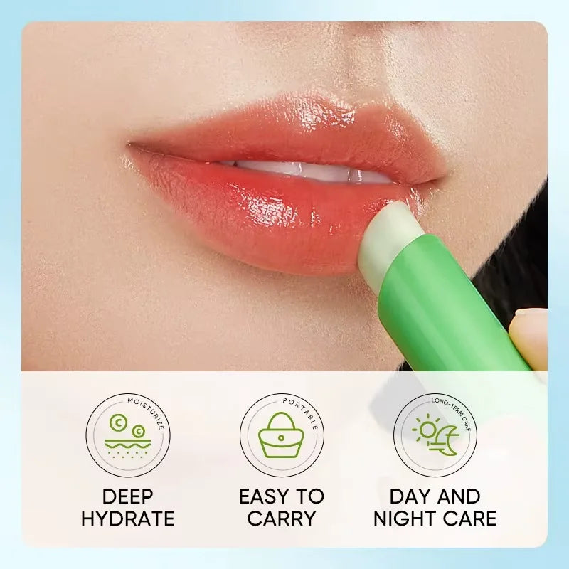Aloe Lip Balm for Dry Lips: Natural Moisturizing Lip Treatment | Tidesmit Lip Care Tidesmit