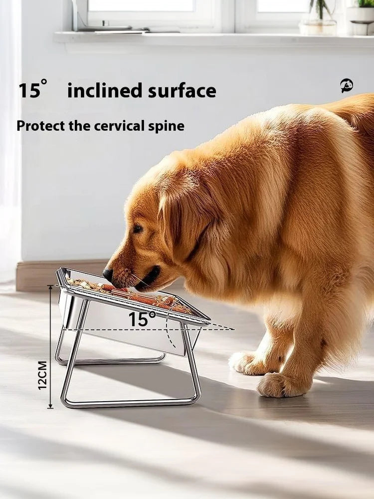 Dog eating from a 15-degree tilted stainless steel elevated pet bowl to protect cervical spine and improve digestion.