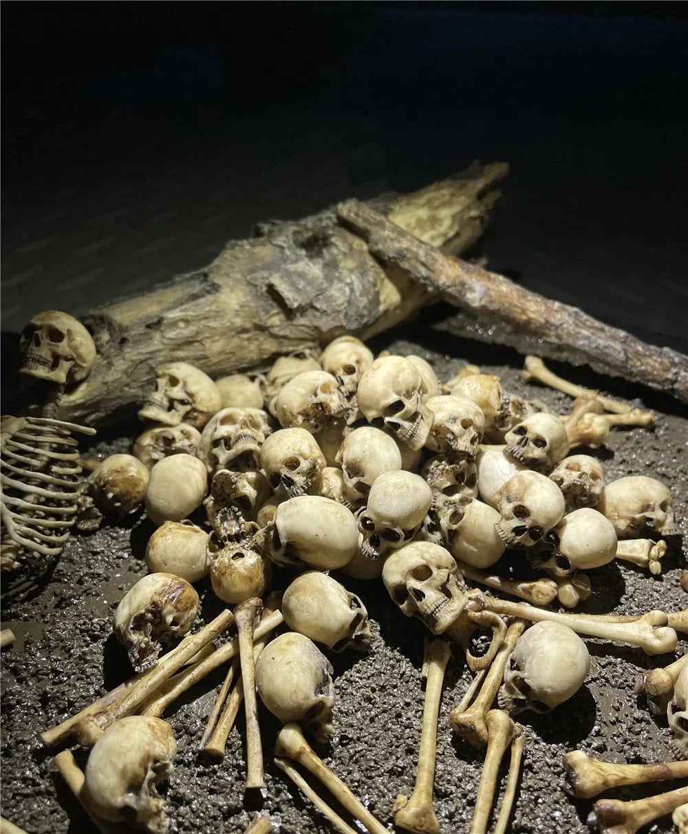 Miniature faux bone and human skull decor for reptile terrariums and aquarium habitats. Creepy, realistic habitat accents.