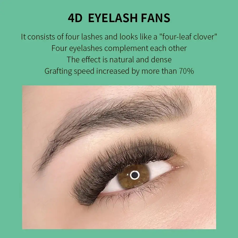 4D eyelash fans with four black synthetic lashes per cluster, applied to an eye for a dense, natural appearance.