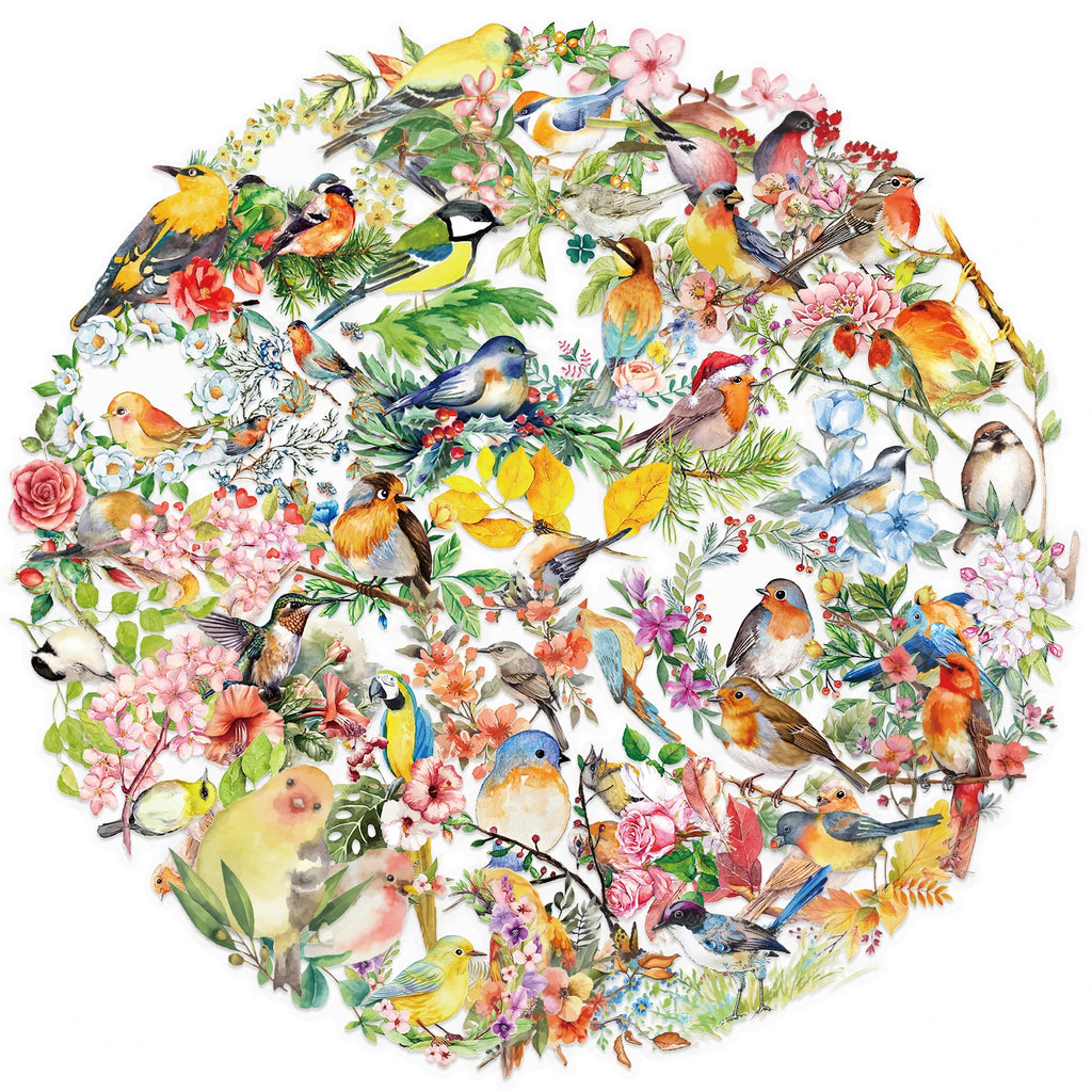 50 watercolor bird PET stickers for scrapbooking and DIY decor. Transparent aesthetic floral bird designs for journals.