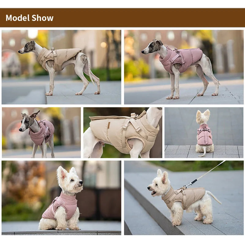 Warm, padded winter dog jacket with integrated harness for small to medium dogs in beige and pink.