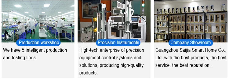 Hot 3D Face Recognition China Automatic Outdoor Security Camera Wishome Wifi Front Entry Smart Door Lock Set