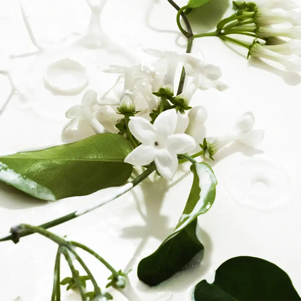 KOEC Heavy Cream Fragrance Mist: 50ml moisturizing scent with jasmine, vanilla, and sugar notes. Fresh floral spray.