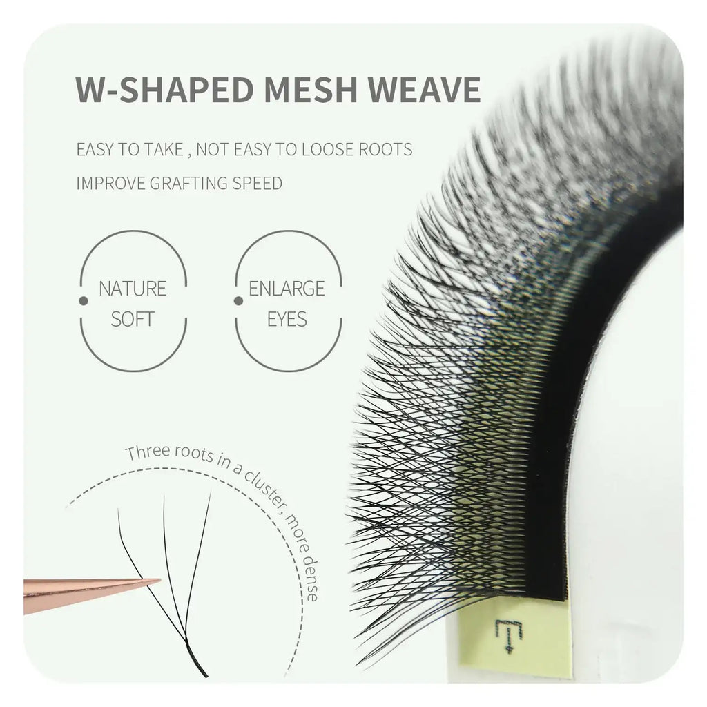 Black W-shaped false eyelash extensions on a white strip, featuring three-root clusters for professional grafting.