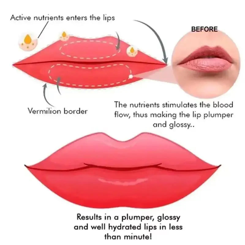 Lip Plumper Oil – Instant Volumizing Gloss for Hydrated Lips Lip Care Tidesmit