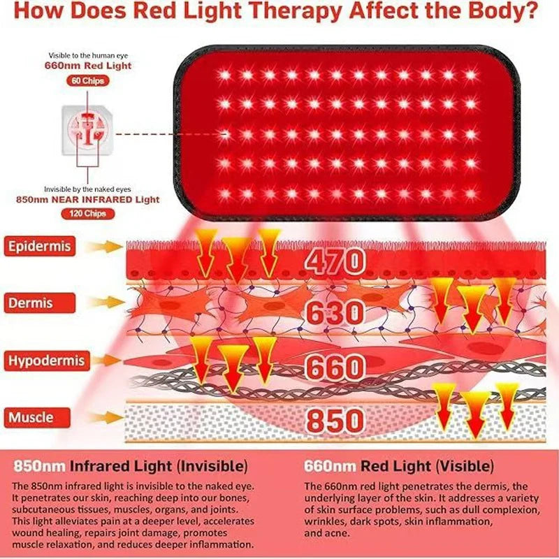 Red Light Therapy Belt for Back and Waist Portable Infrared Therapy Pad Featuring 660nm and 850nm Wavelength LED Lights