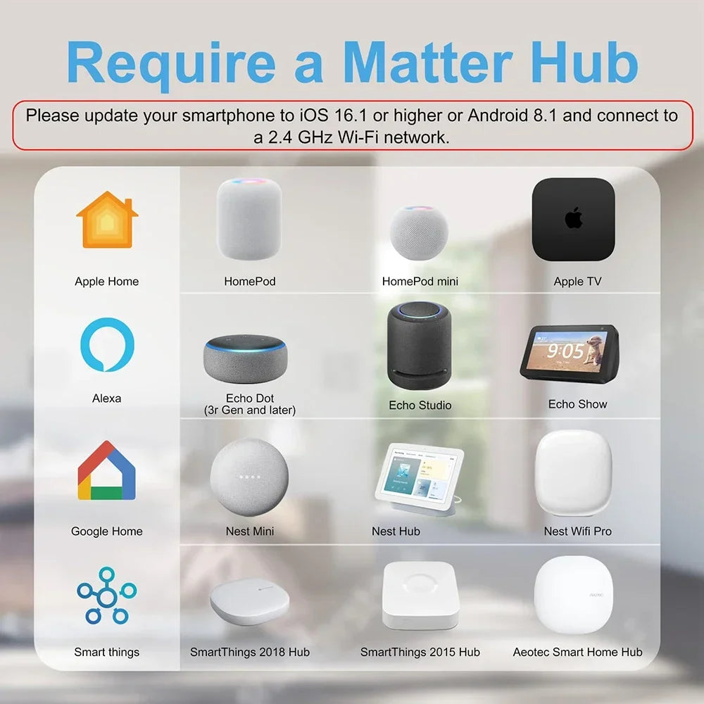Matter WiFi Smart Socket EU16A Mini Smart Plug Adapter APP Control Works with HomeKit Alexa Google
