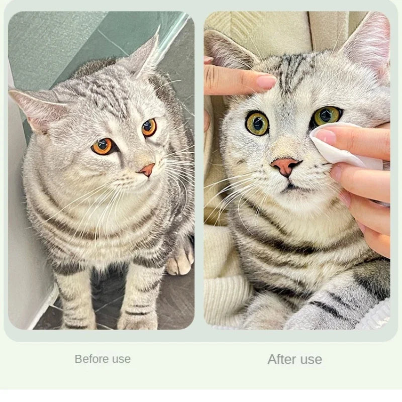 Before and after using pet grooming eye wipes on a cat to remove tear stains and clean discharge safely.