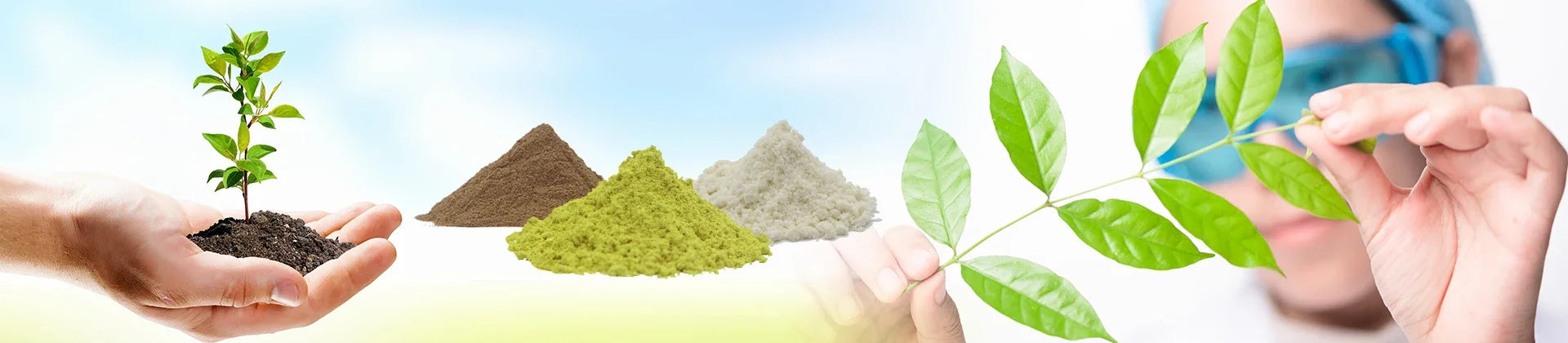 Customized 100% Pure Lions Mane Mushroom Extract Powder Packaging Bulk Hericium Erinaceus Out Packing Aluminum Foil Bag