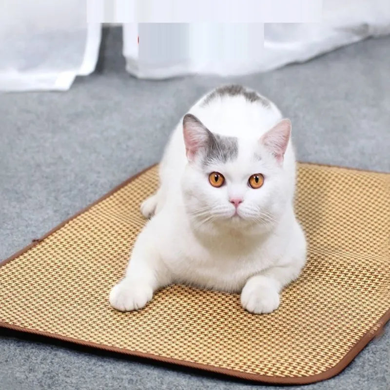 Dog Cooling Mat Summer Pet Cold Bed Extra Large For Small Medium Large Dogs Cats Pets Pet Ice Pad Dog Bed Cat Bed Pet bed