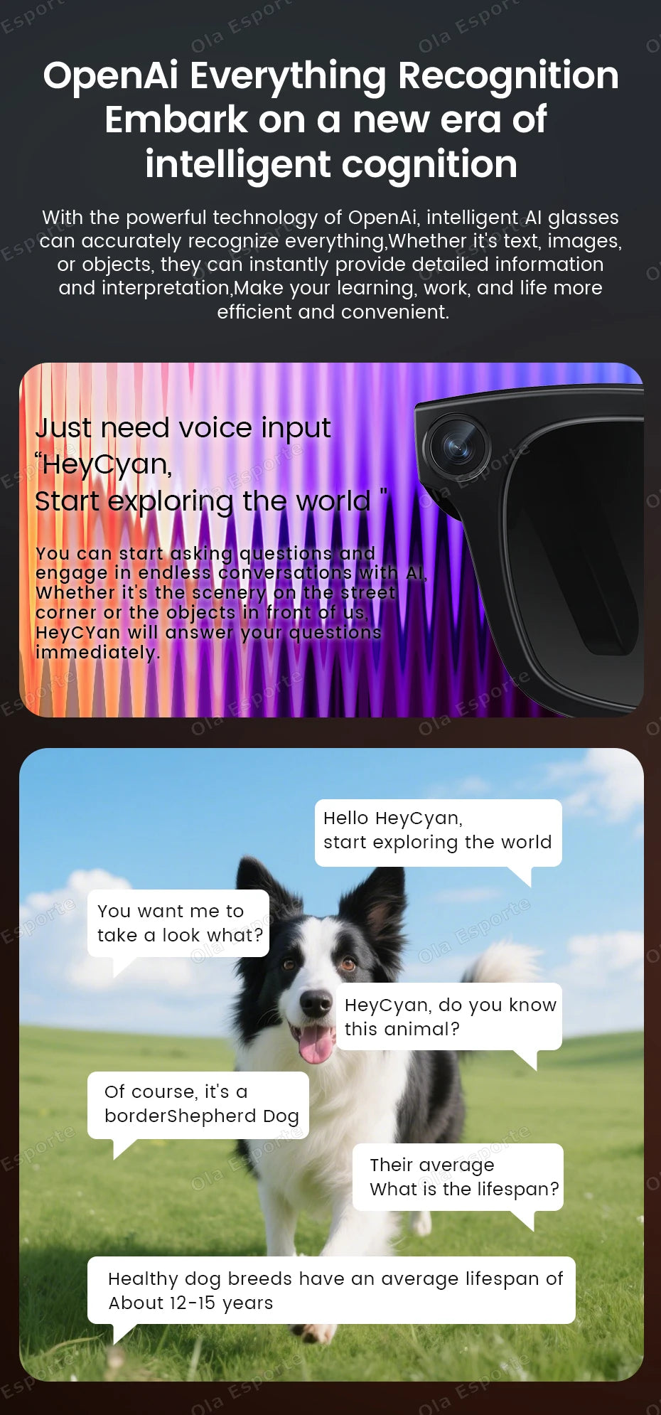 AI Smart Glasses with Video Camera & Bluetooth Calls | Tidesmit Tidesmit