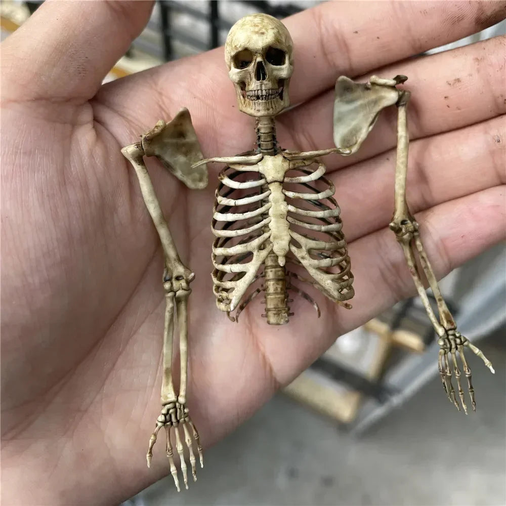 Mini 1:12 scale faux human skeleton model for aquarium, reptile tank, or spooky home decor. Highly detailed plastic bones.