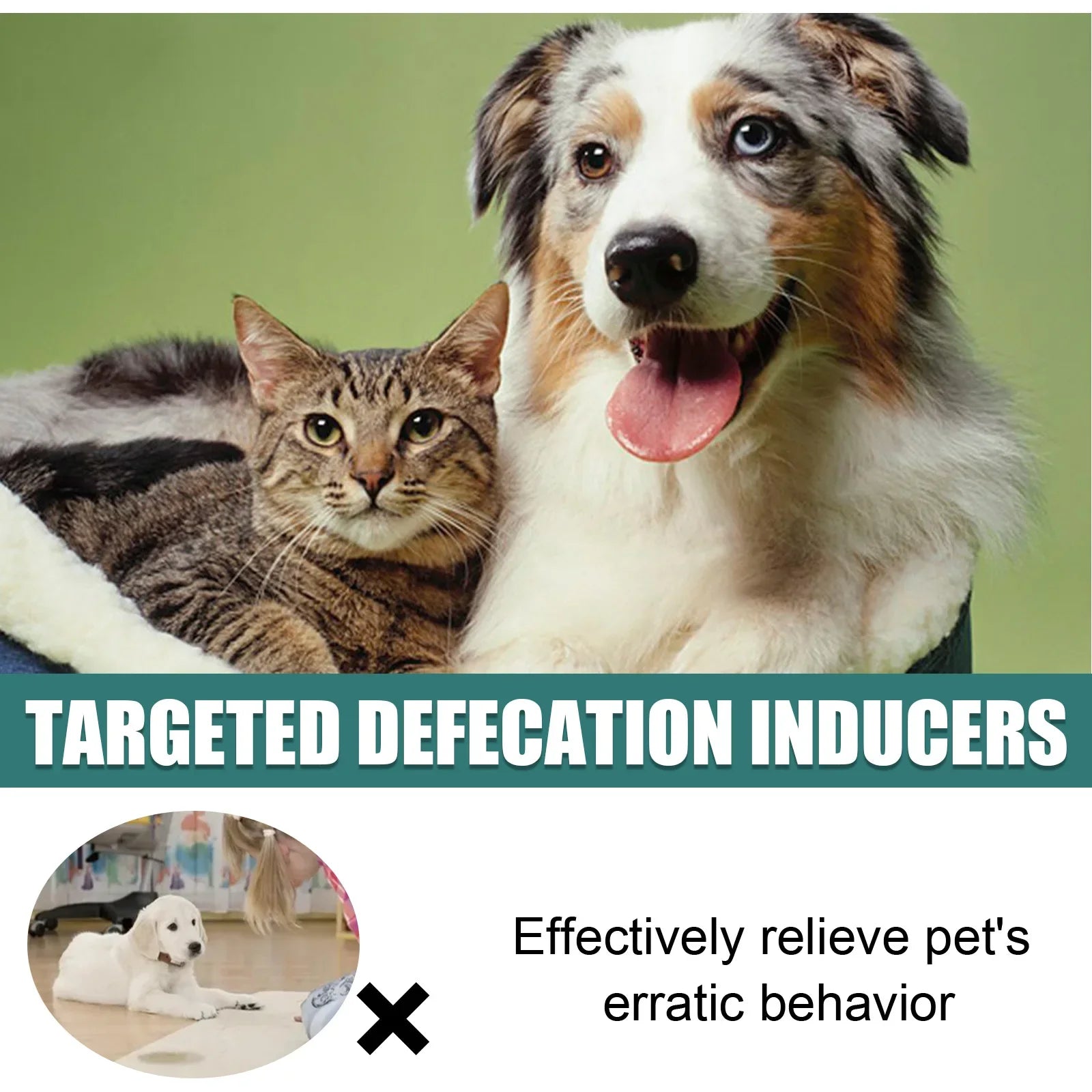 Pet toilet training spray helps puppies and cats learn potty positioning to stop erratic behavior.