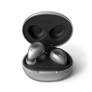 Tidesmit Hi-Fi Wireless Noise Cancelling Earbuds - Black & Gray Edition gray Tidesmit